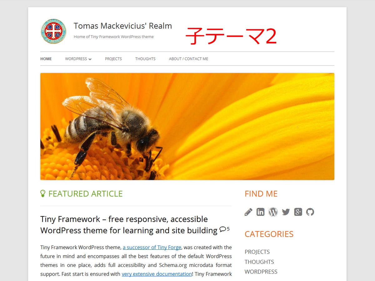 Theme WordPress tiny-framework-child-2