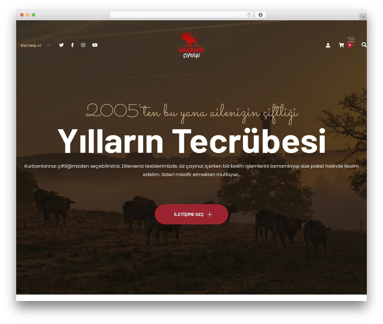 Theme WordPress Bubulla - huzurciftligi.com