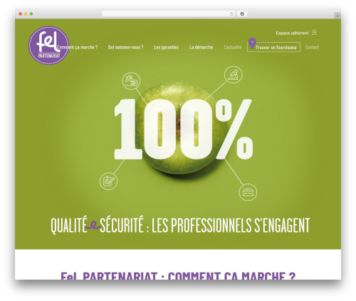 WordPress theme Averon - felpartenariat.eu