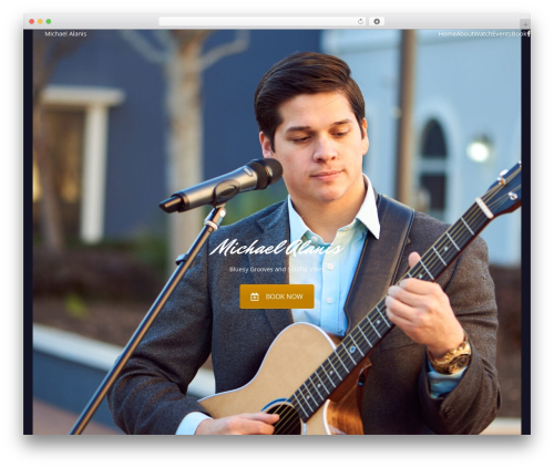 Iron music WordPress plugin - michaelalanis.com