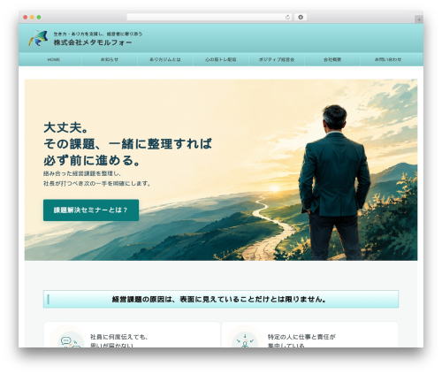 St blocks WordPress plugin - met-a-mor.com