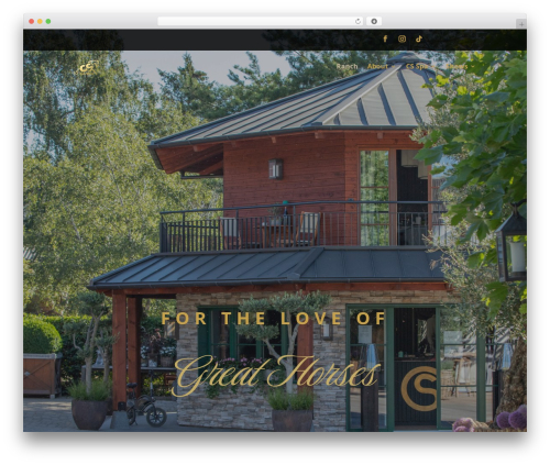 Divi next masonry gallery WordPress plugin - cs-ranch.eu