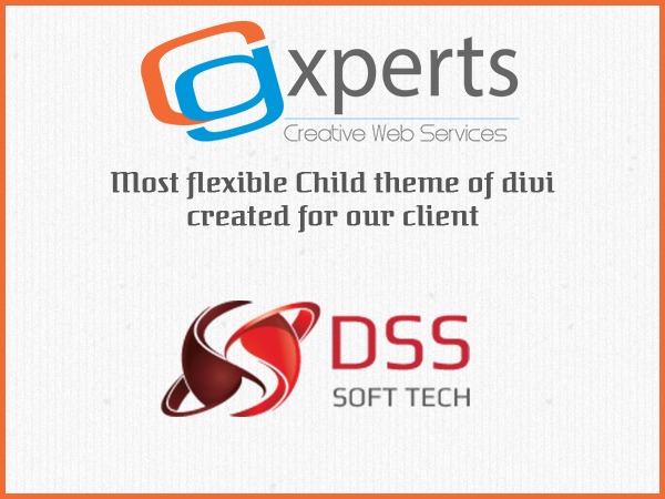 Theme WordPress Dss Softech by CGxperts