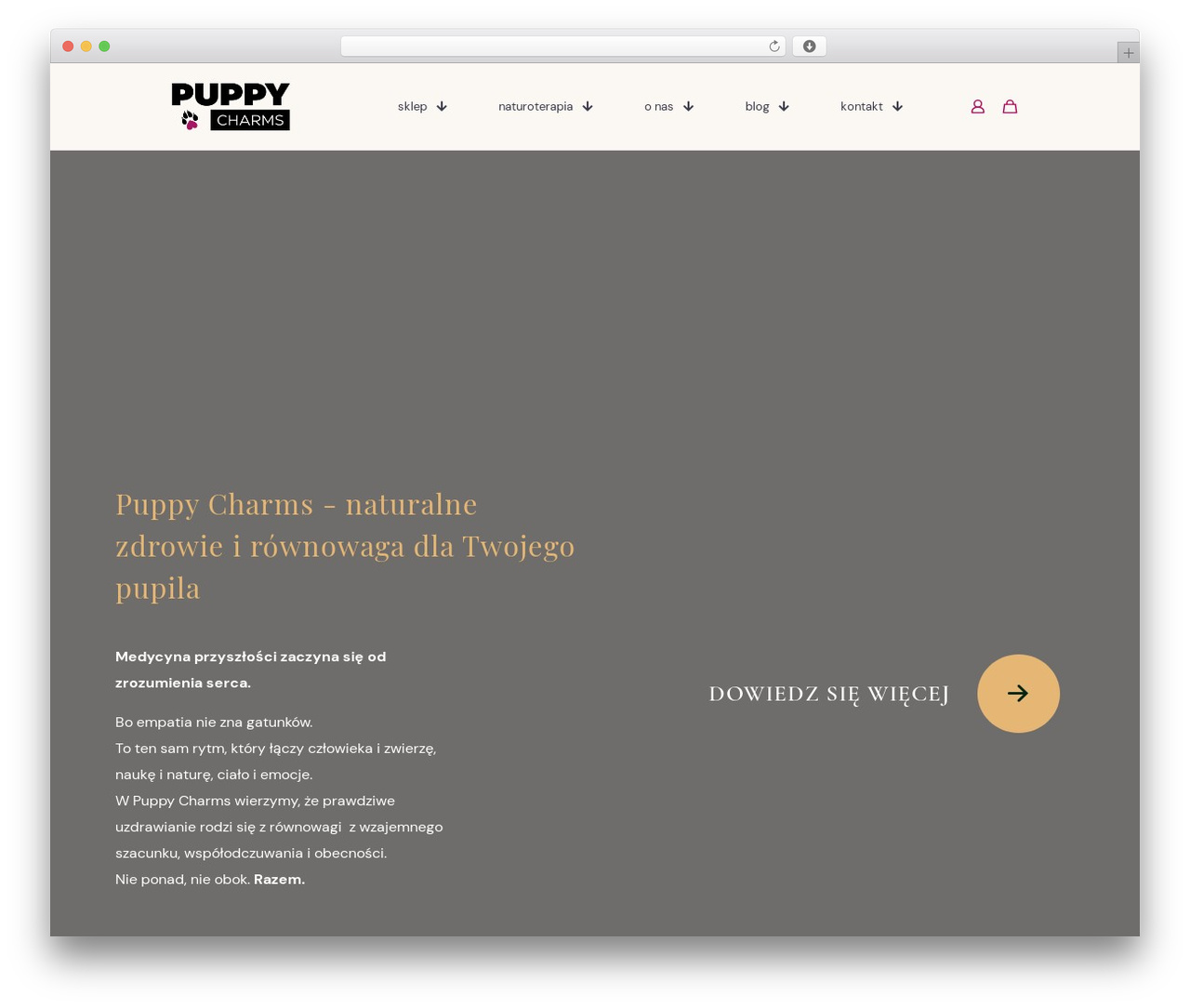 WordPress theme Betheme - puppy-charms.com WordPress theme Betheme - puppy-charms.com