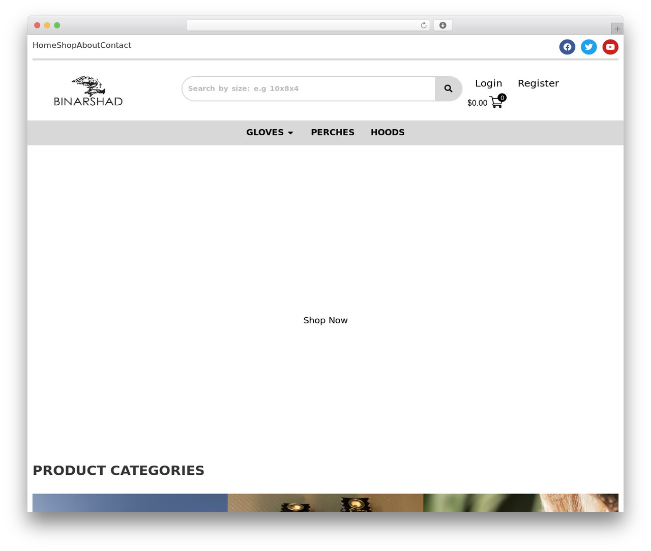 WordPress theme Hello Elementor - binarshad.com WordPress theme Hello Elementor - binarshad.com