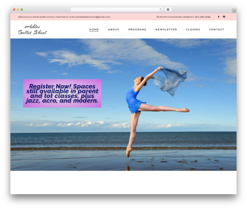 Arabesque core WordPress plugin - ashleiballetschool.com