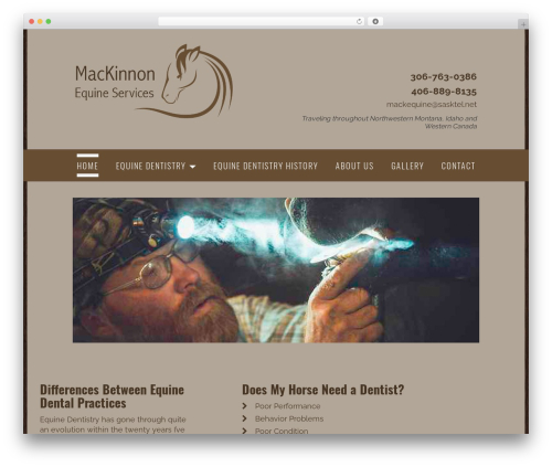 Blacksun WordPress theme - mackinnonequineservices.com