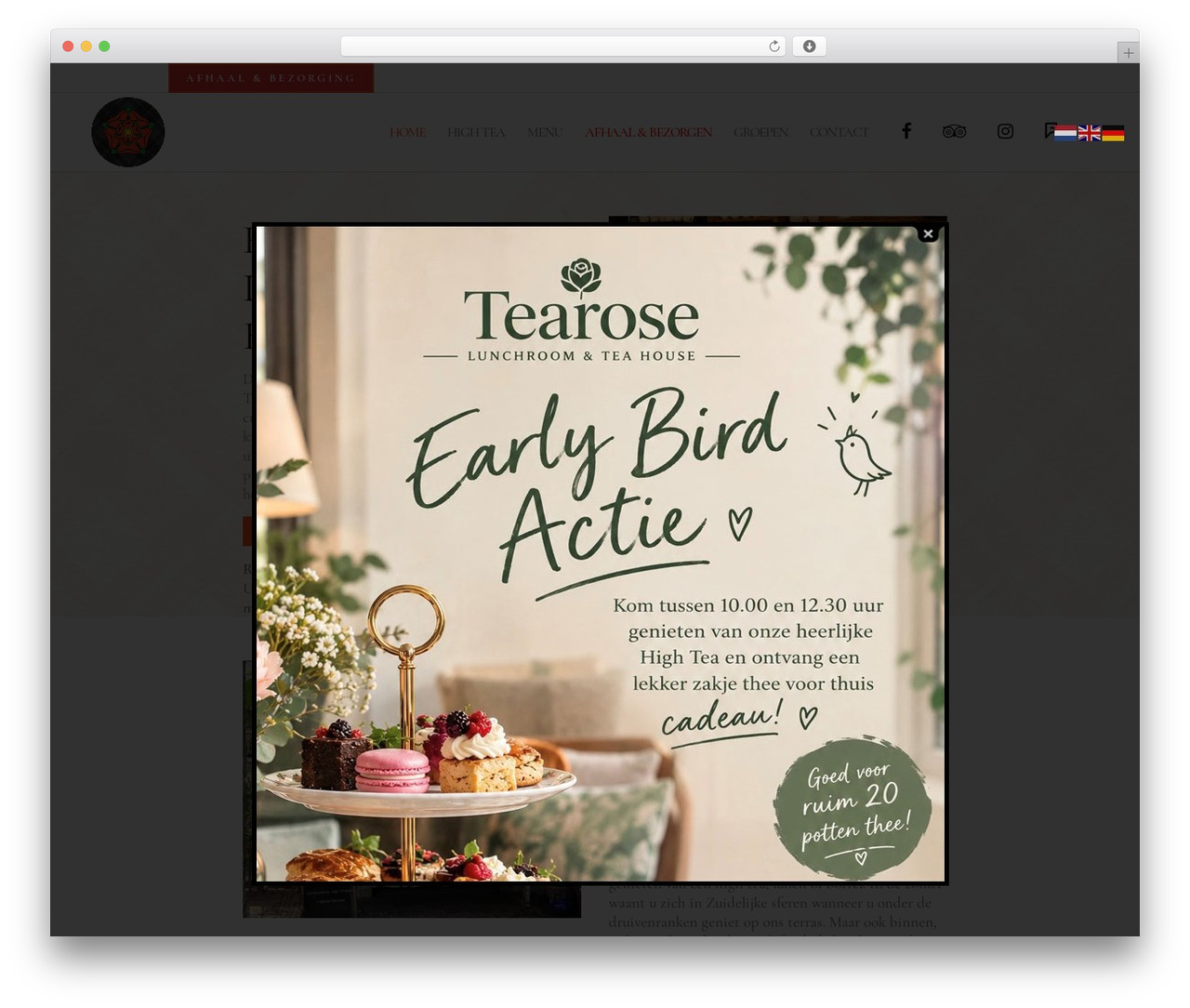 Bridge theme WordPress - tearose.nl