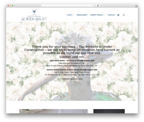 Social Feed | All social media in one place (add-facebook) free WordPress plugin - centraloregonschoolofballet.com