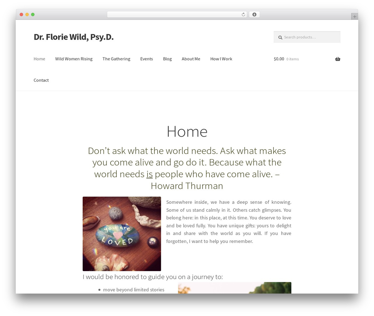 Storefront WordPress theme - drfloriewild.com