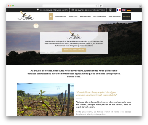 THM WordPress theme - merlin-vins.com