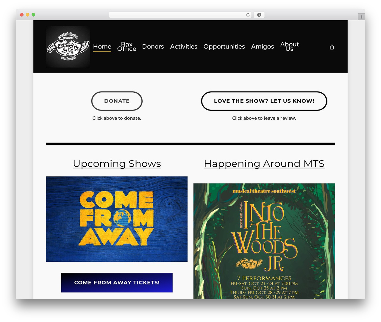 WordPress theme Salient - mtsabq.org
