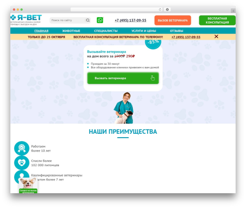 WordPress theme WEEB - ya-vet.com