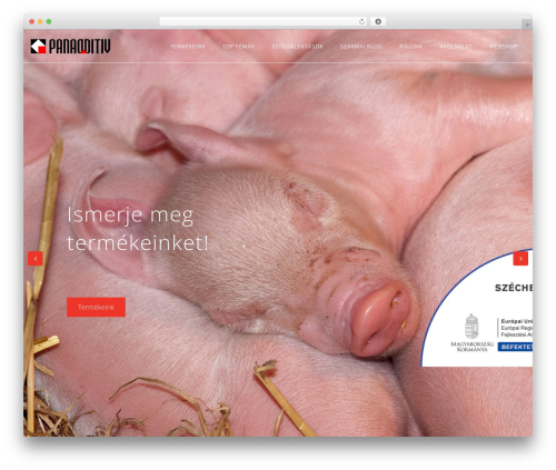 Fresh framework WordPress plugin - panadditiv.hu
