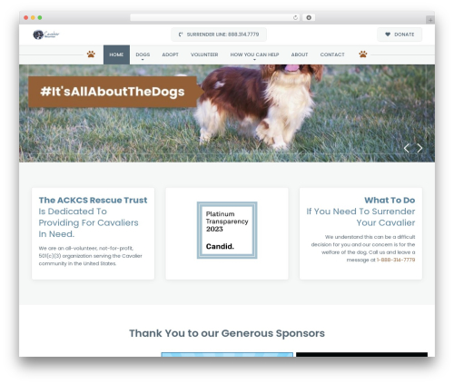 Buzz To The Rescues WordPress theme - cavalierrescuetrust.org