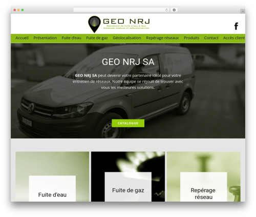 Nicepage WordPress plugin - geonrj.ch
