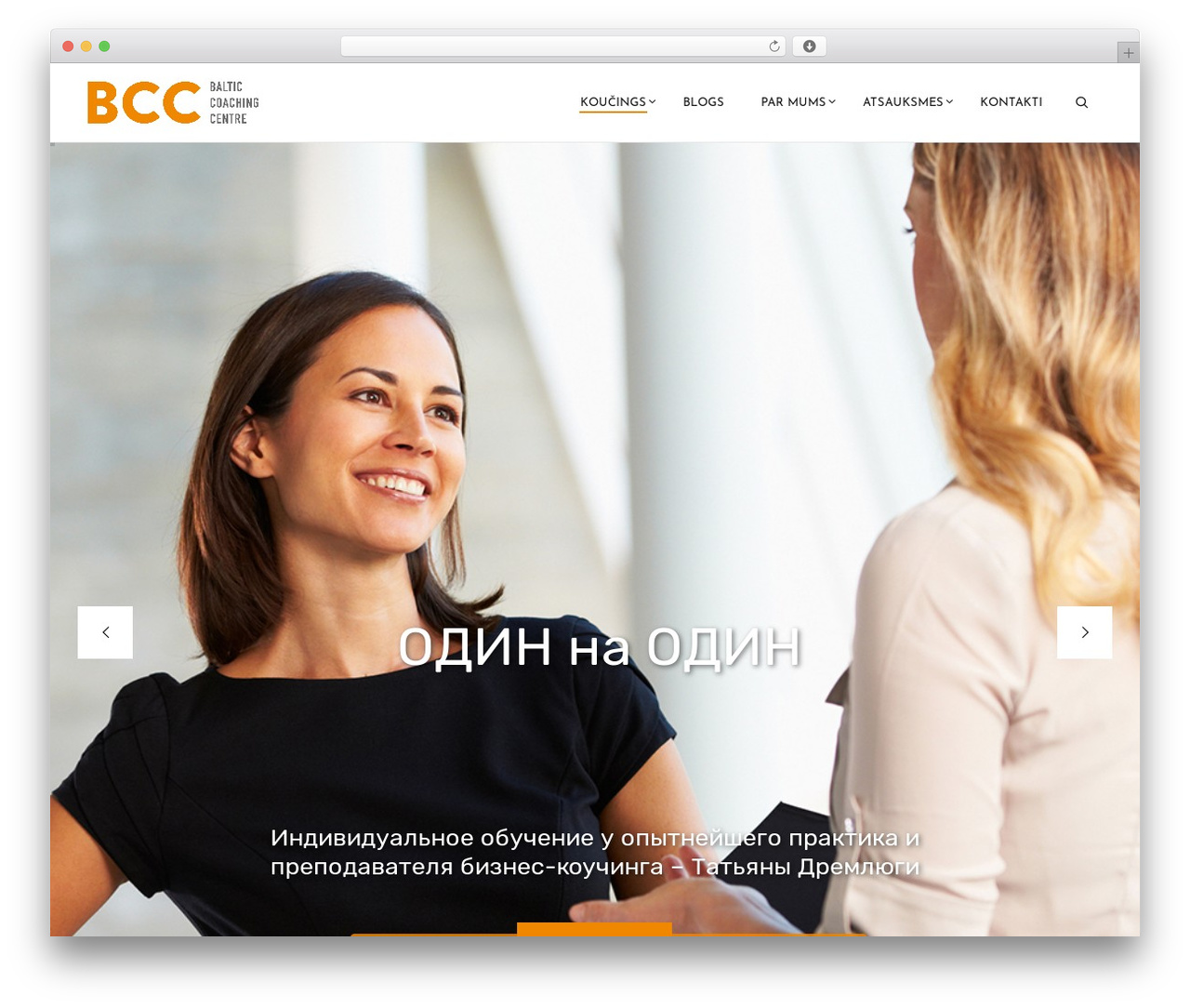 Mood WordPress theme - bcoach.lv