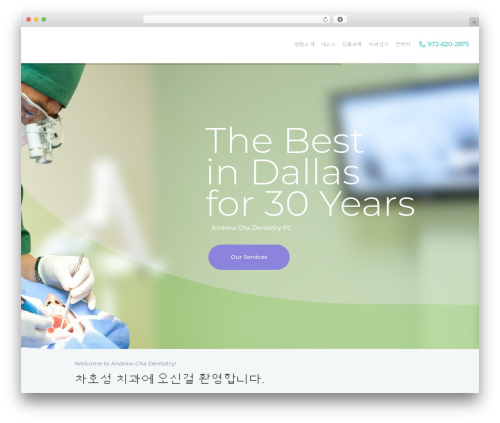 ProDent WordPress theme - cha2875.com