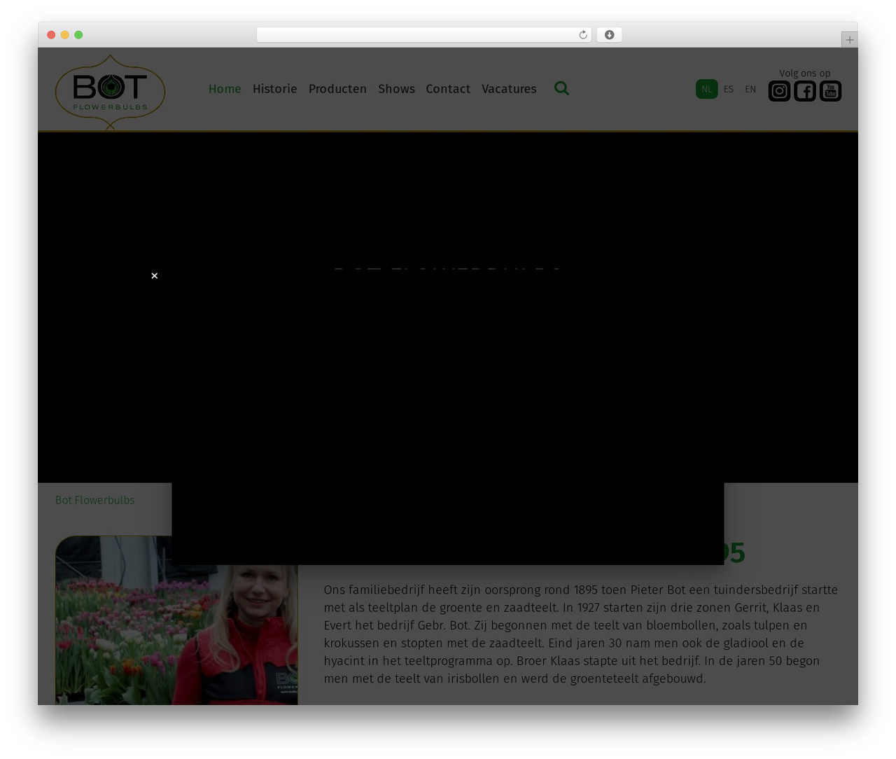 Theme WordPress Bot Flowerbulbs 4 - botflowerbulbs.nl Theme WordPress Bot Flowerbulbs 4 - botflowerbulbs.nl