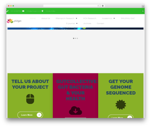 WordPress theme Hello Elementor - phixgen.com