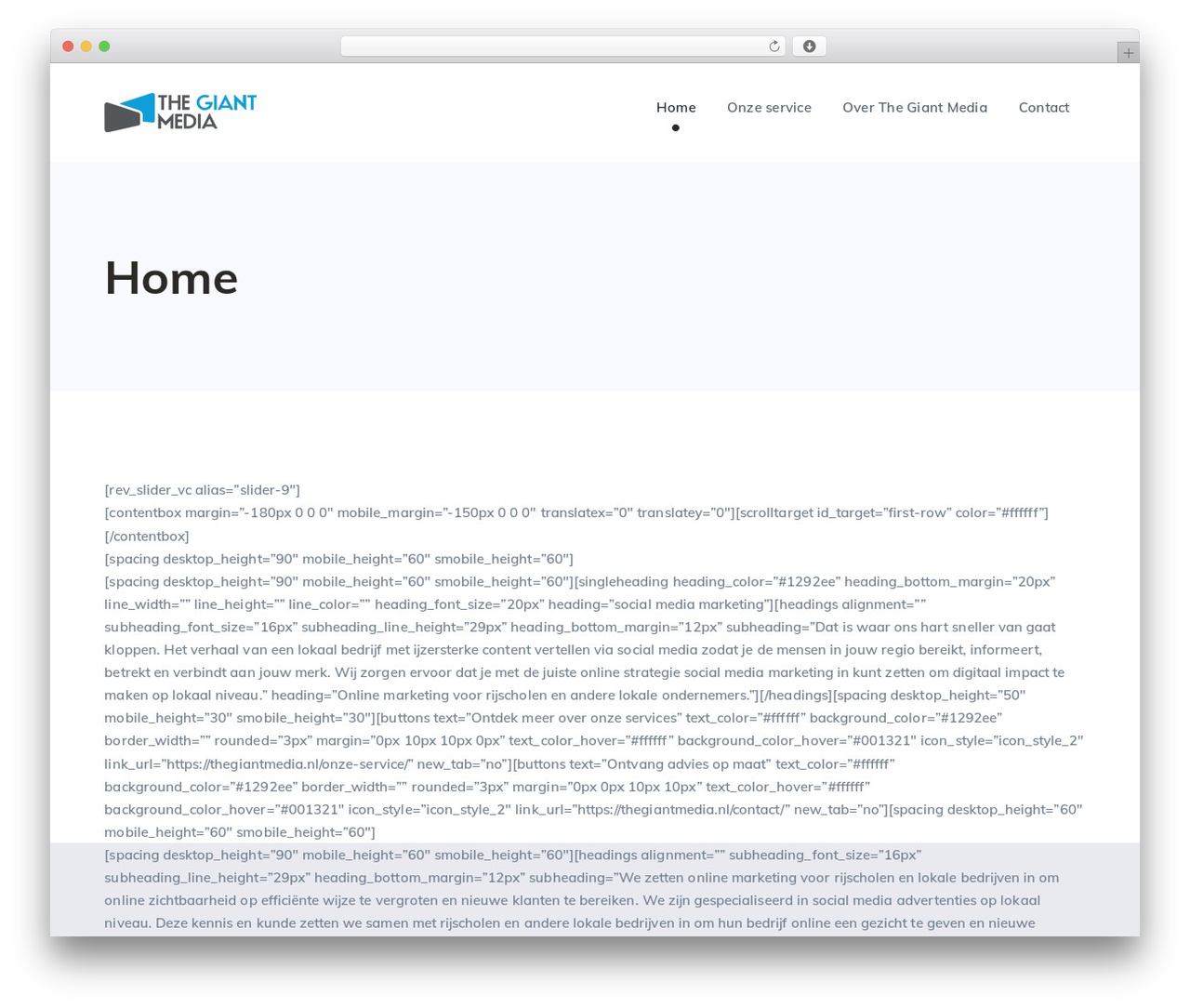 WordPress theme StartFlow - thegiantmedia.nl