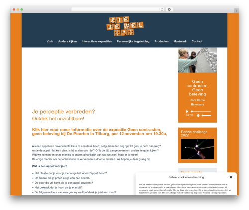 Divi builder experience helper WordPress plugin - ziejewel.org