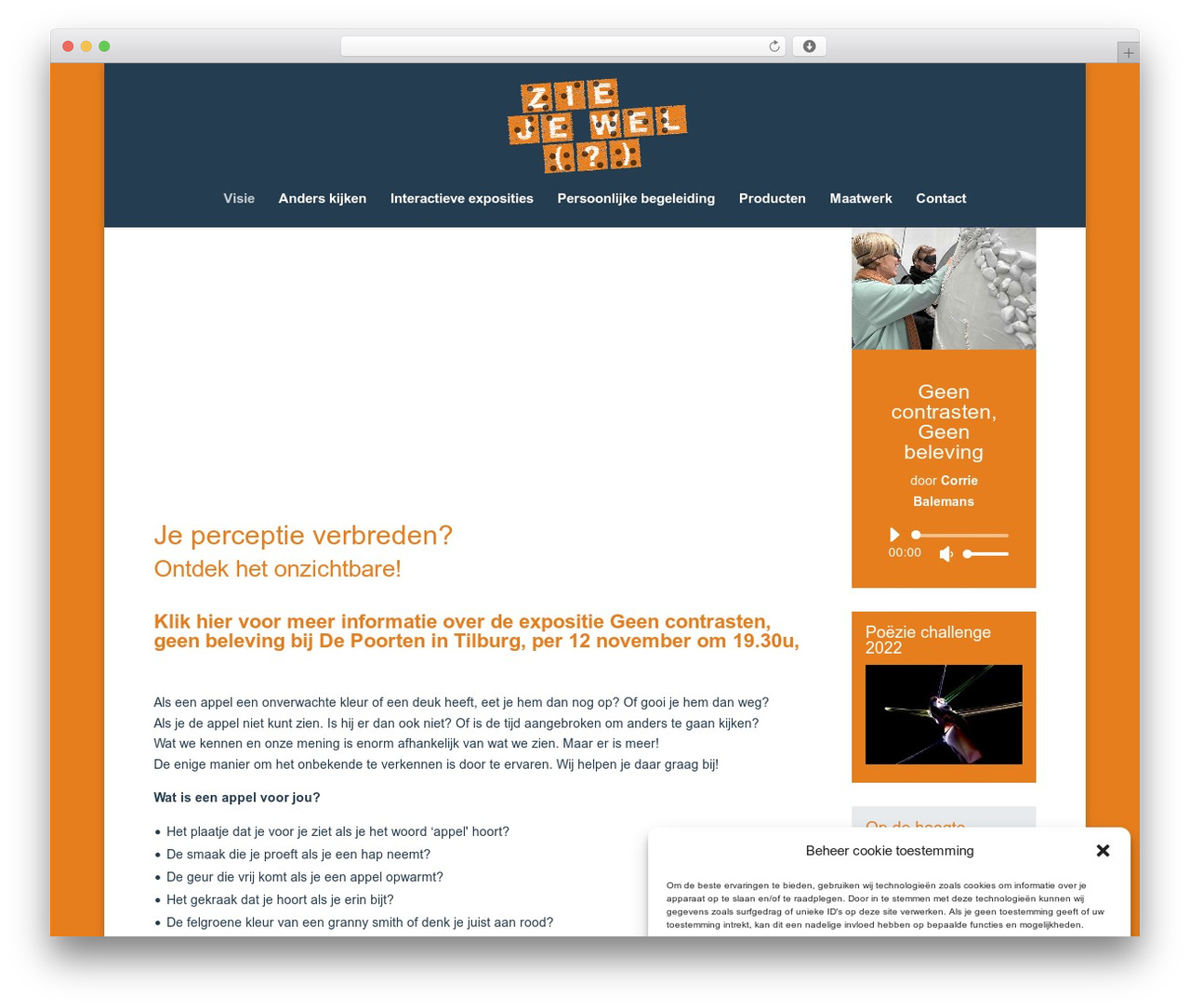 WordPress theme Divi - ziejewel.org WordPress theme Divi - ziejewel.org