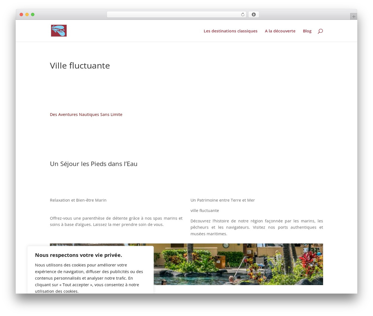 WordPress theme Divi - villefluctuante.com WordPress theme Divi - villefluctuante.com