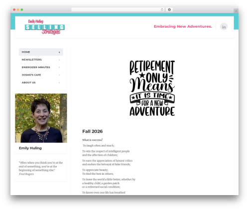 WordPress theme MentalPress WP Theme - sellingstrategies.com