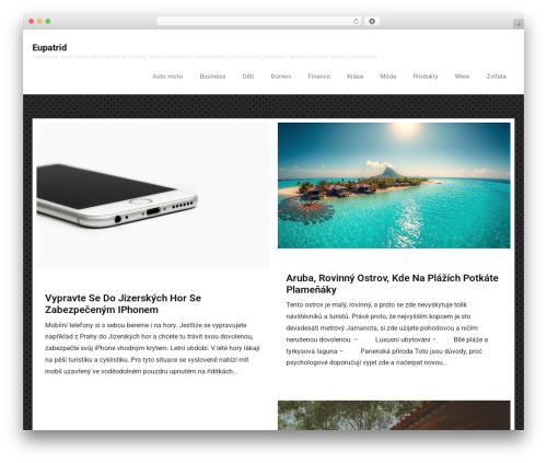 WordPress theme Ryan - eupatrid.cz WordPress theme Ryan - eupatrid.cz