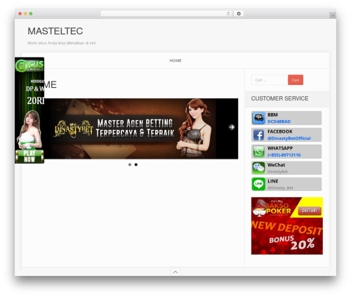 Boxed WP theme WordPress - masteltec.net
