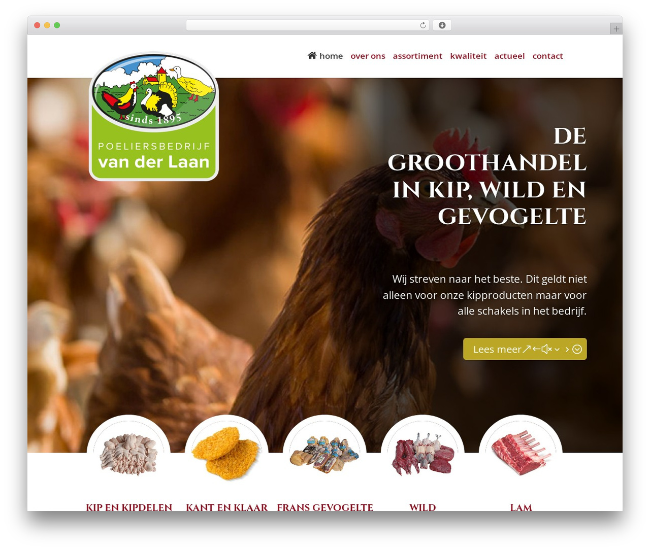 Divi premium WordPress theme - versekip.nl
