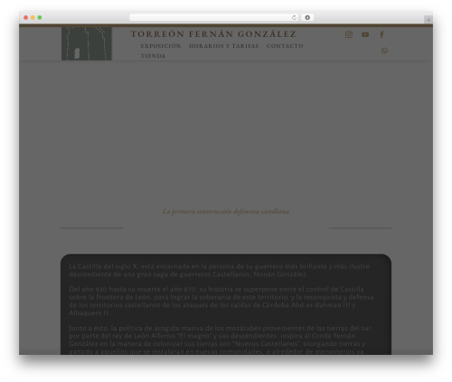 Ds timeline WordPress plugin - torreondefernangonzalez.es