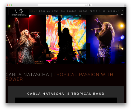 Iron music WordPress plugin - carlanatascha.com