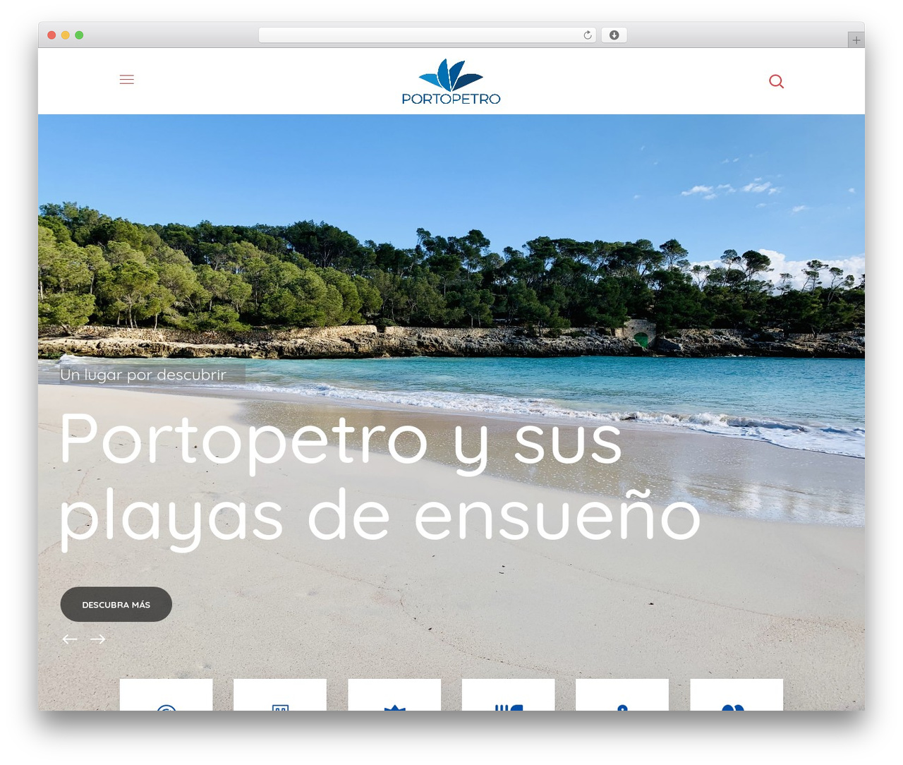 WordPress theme Thegov - visitportopetro.com