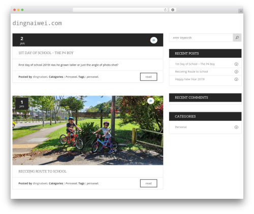 Zoomy WordPress theme - dingnaiwei.com