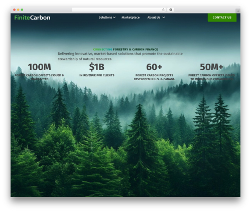 Bt pro WordPress plugin - www.finitecarbon.com