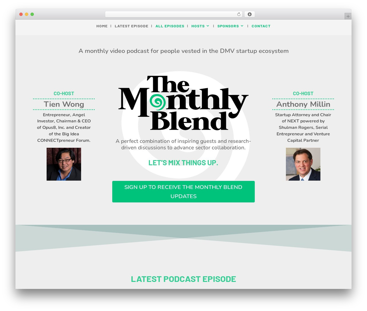 WordPress theme Divi - themonthlyblend.com