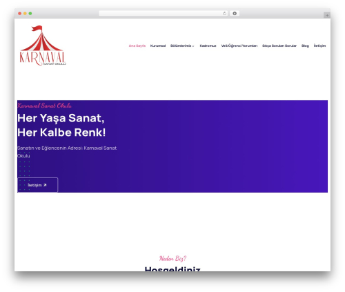 WordPress theme Dlear - karnavalsanat.com