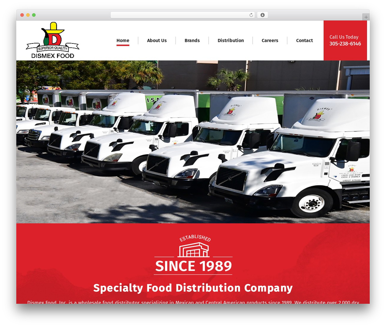 Lambda WordPress theme - dismexfood.com