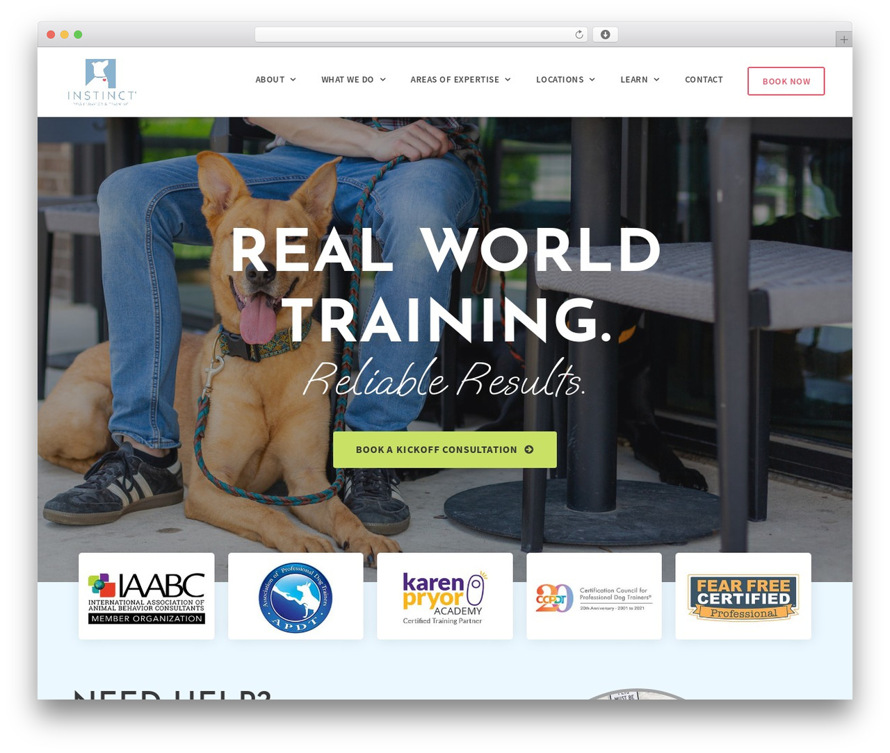 WP theme Instinct Dog Training - instinctdogtraining.com