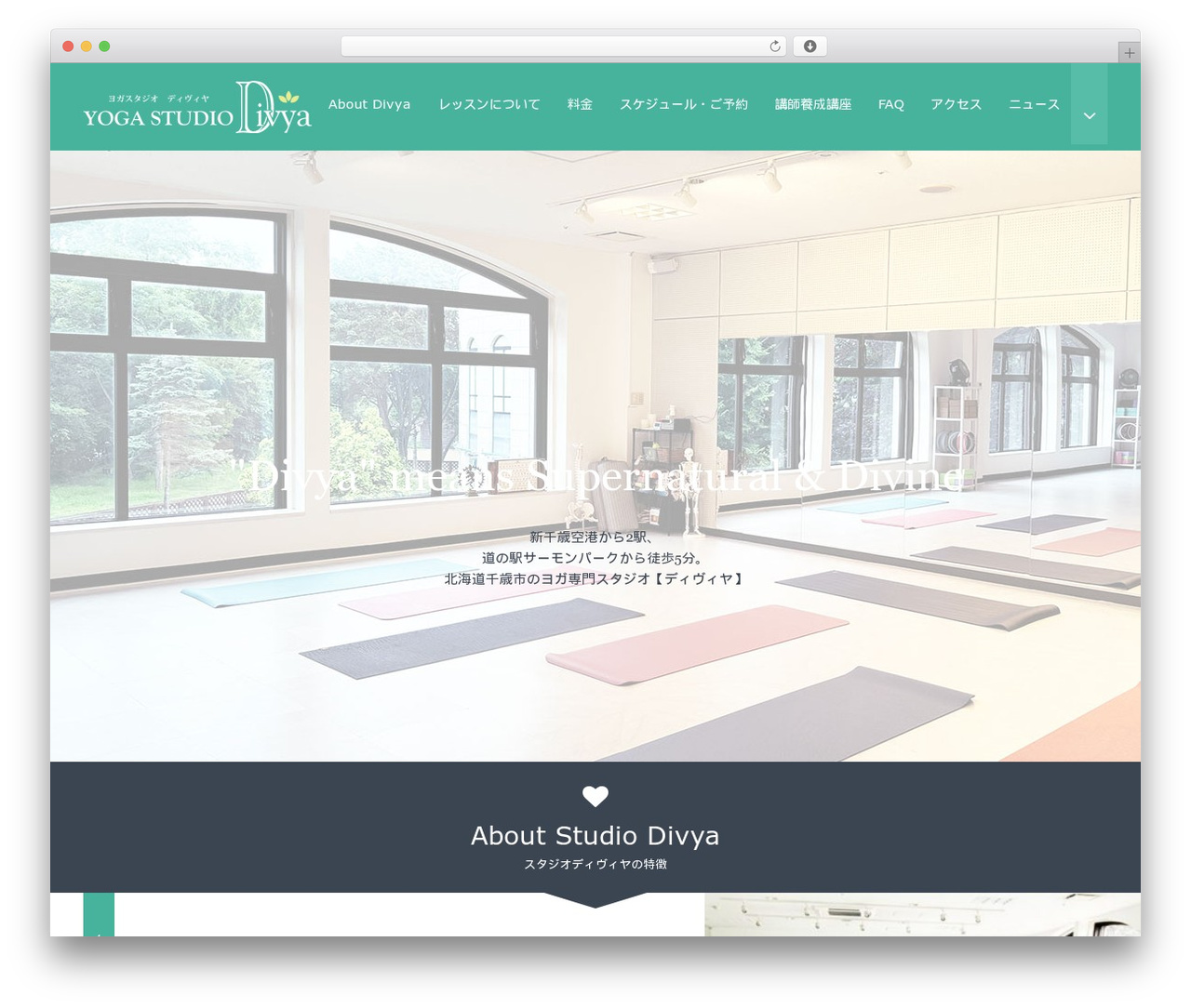 XeoryExtension WordPress theme - studiodivya.com
