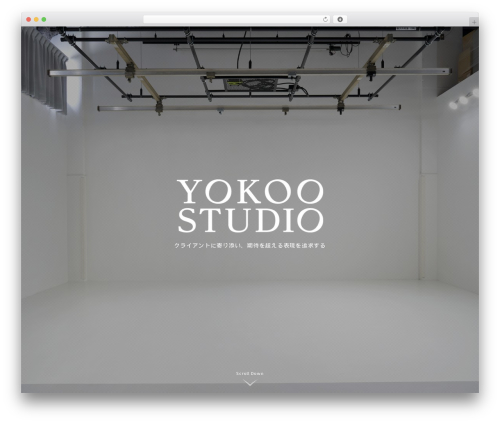 yokoo WordPress theme - yokoost.com