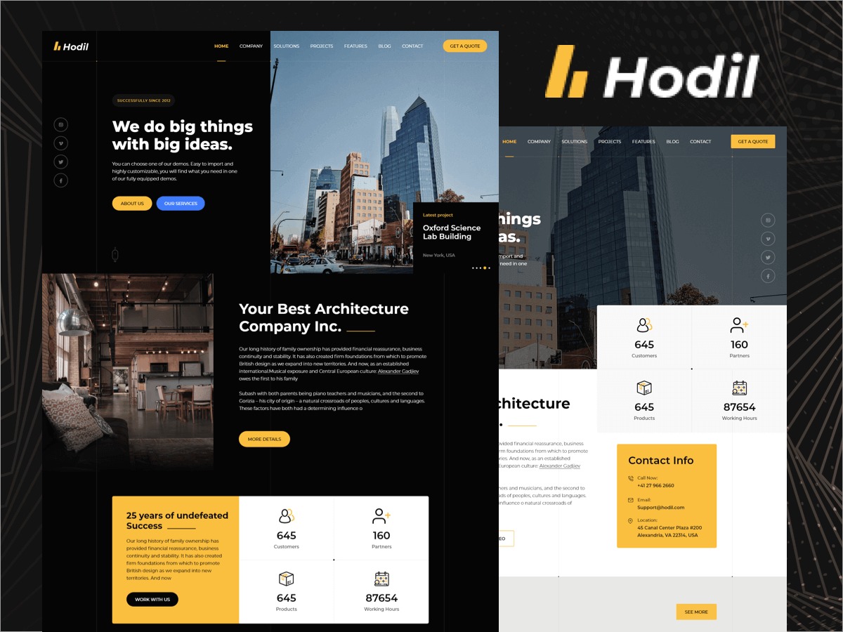 Hodil top WordPress theme