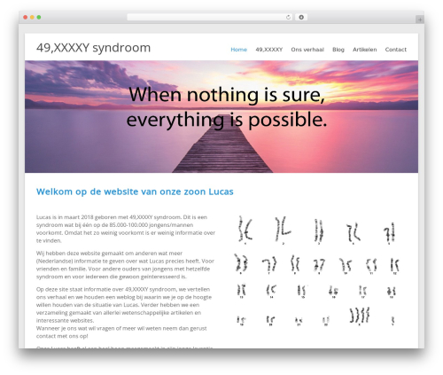 Newsletters (newsletters-lite) free WordPress plugin - 49xxxxy-syndroom.nl