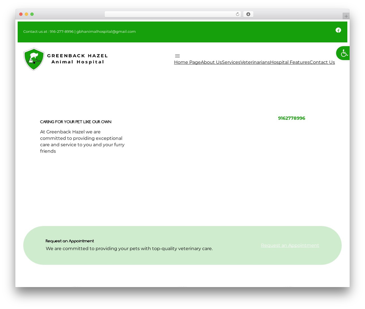 Theme WordPress Whimsy - greenbackhazelah.com