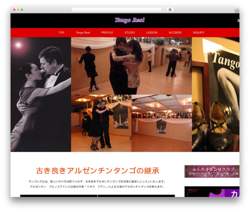 WordPress theme MAXX - tango-real.com