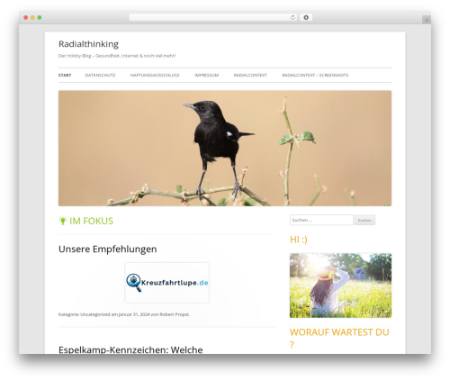 WP theme Tiny Forge - radialthinking.de WP theme Tiny Forge - radialthinking.de