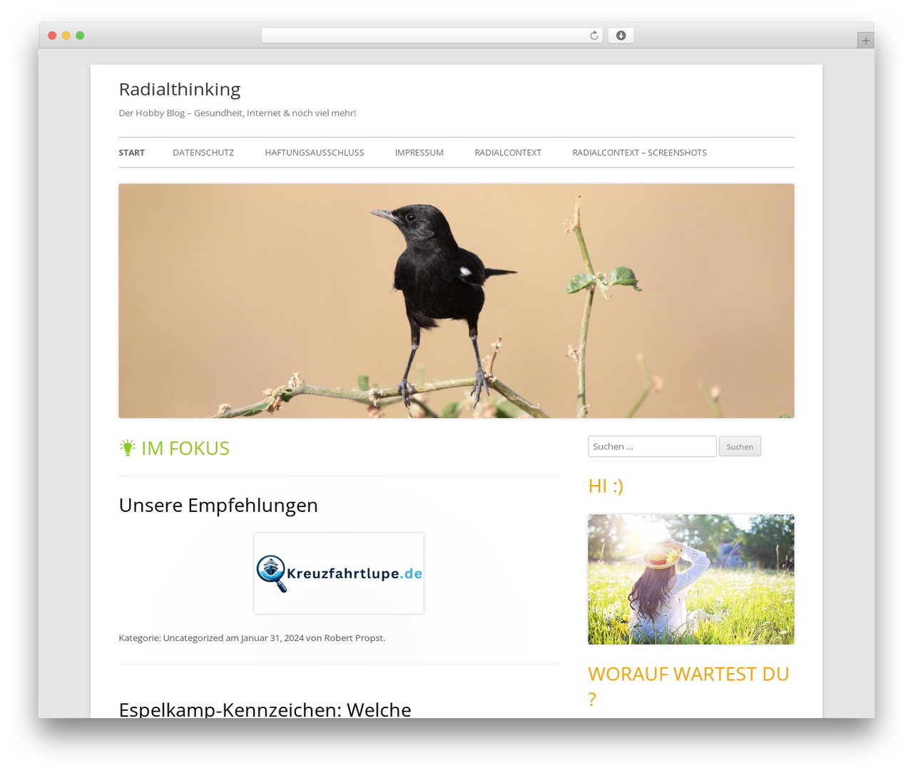 WP theme Tiny Forge - radialthinking.de WP theme Tiny Forge - radialthinking.de