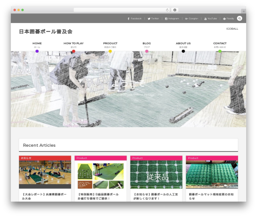 COLORS by DigiPress WordPress theme design - igoball.jp